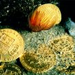 Gold coins uncovered during the excavation of the Orient. The number of pre-revolutionary coins found, including the ones bearing likeness to the French kings Louis XV and Louis XVI, attest to the toll the Revolution was taking on France's economy: The go